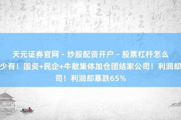 天元证券官网 - 炒股配资开户 - 股票杠杆怎么注册 A股少有！国资+民企+牛散集体加仓团结家公司！利润却暴跌65%