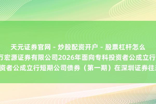 天元证券官网 - 炒股配资开户 - 股票杠杆怎么注册 申万宏源: 对于申万宏源证券有限公司2026年面向专科投资者公成立行短期公司债券（第一期）在深圳证券往来所上市的公告