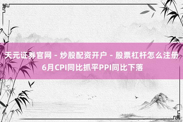 天元证券官网 - 炒股配资开户 - 股票杠杆怎么注册 6月CPI同比抓平PPI同比下落