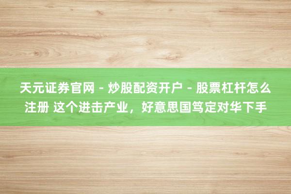 天元证券官网 - 炒股配资开户 - 股票杠杆怎么注册 这个进击产业，好意思国笃定对华下手