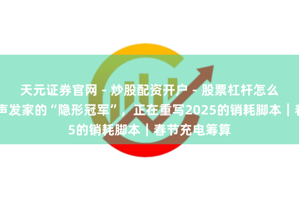 天元证券官网 - 炒股配资开户 - 股票杠杆怎么注册 这些闷声发家的“隐形冠军”，正在重写2025的销耗脚本｜春节充电筹算