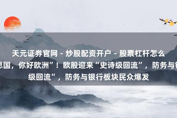 天元证券官网 - 炒股配资开户 - 股票杠杆怎么注册 “相遇好意思国，你好欧洲”！欧股迎来“史诗级回流”，防务与银行板块民众爆发